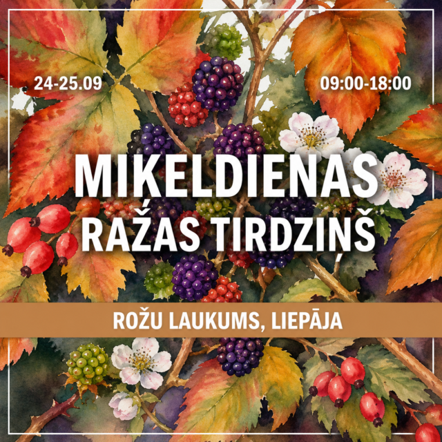 Miķeļdienas tirdziņš Rožu laukumā, Liepāja